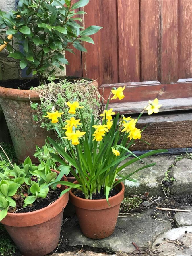 Dove Cottage Bisley  외부 사진