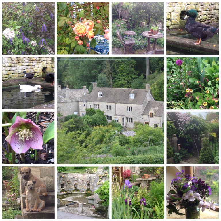 Dove Cottage Bisley  외부 사진